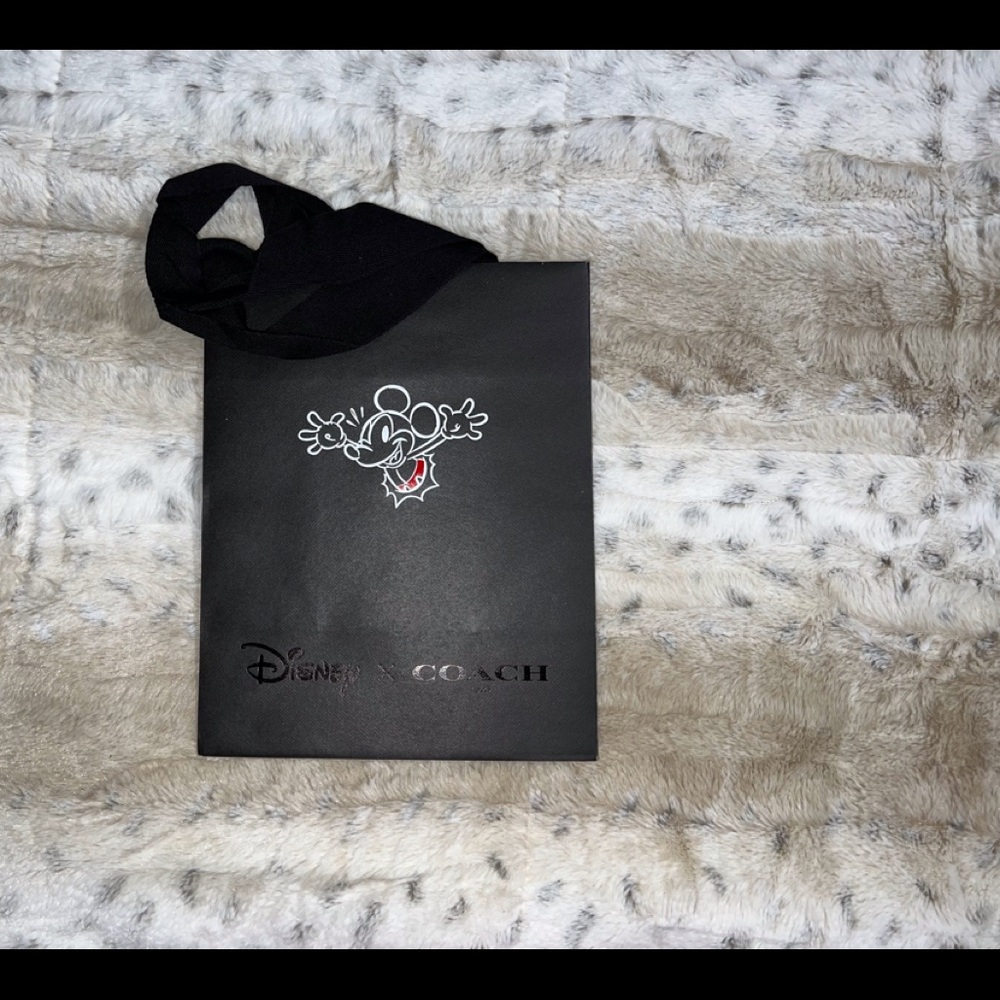 Coach x Disney shopping bags!